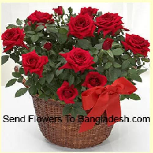A Beautiful Arrangement Of 18 Red Roses With Seasonal Fillers